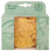 Load image into Gallery viewer, Mediterranean Natural Sea Sponge