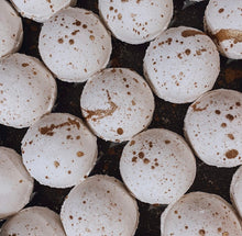 Load image into Gallery viewer, The One Co Cheshire Bath Bomb - 140g