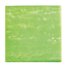 Load image into Gallery viewer, Kiwi & Lime 2in1 Shampoo & Conditioner – All Hair Types