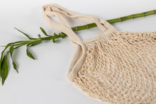 Load image into Gallery viewer, Organic Cotton Mesh Parisian Bag - Turtle Bag - Fruit Bag