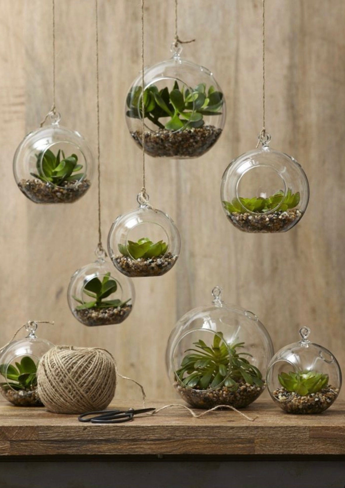 hanging plants in glass bowls Glass Terrarium - Globe Hanging Bowl